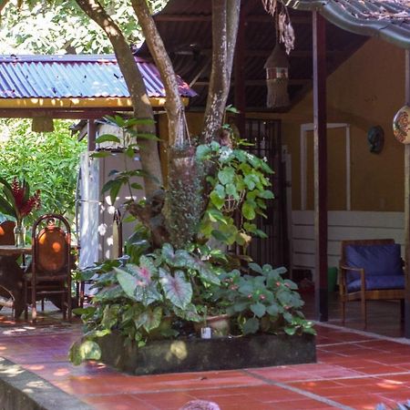 Mi Refugio Tayrona Hotel Santa Marta  Eksteriør billede