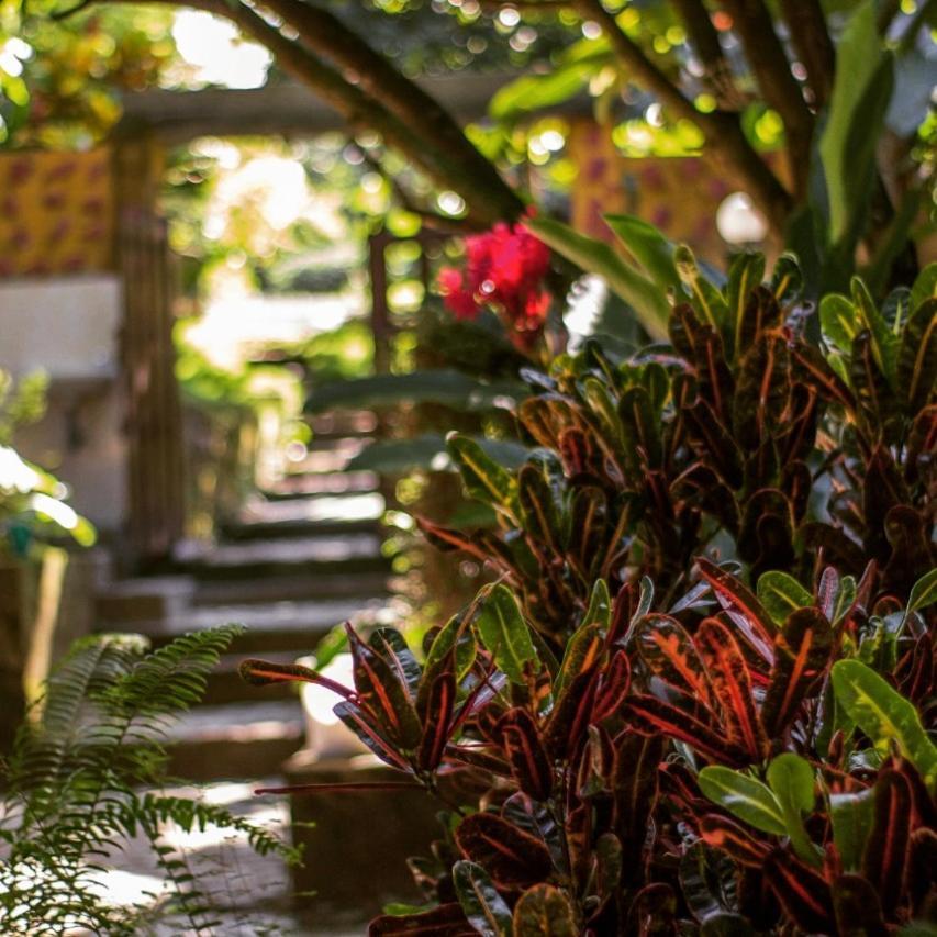 Mi Refugio Tayrona Hotel Santa Marta  Eksteriør billede