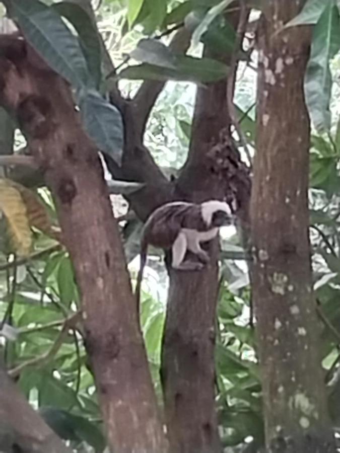 Mi Refugio Tayrona Hotel Santa Marta  Eksteriør billede