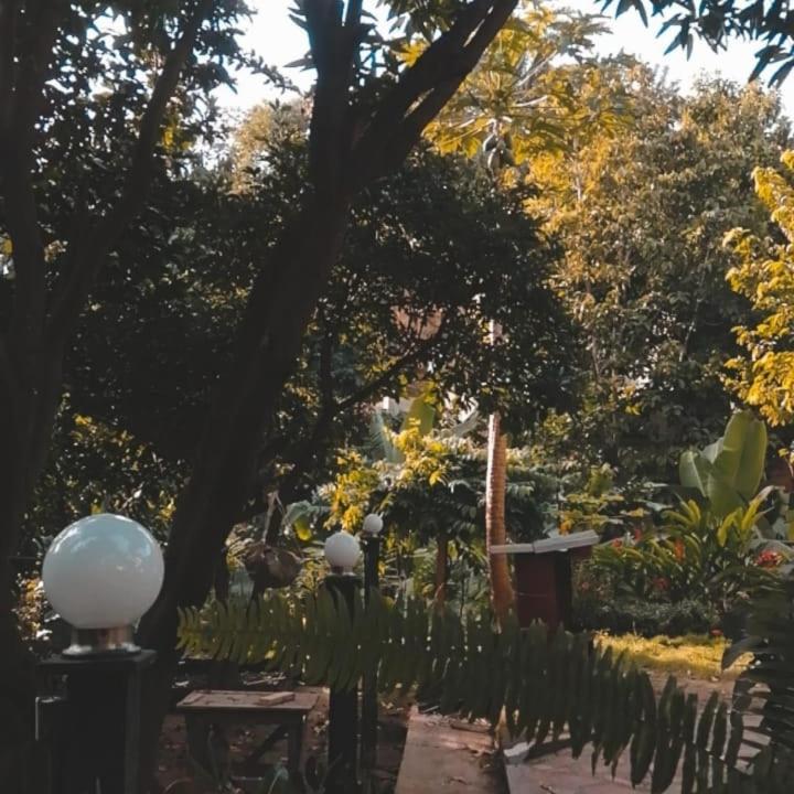 Mi Refugio Tayrona Hotel Santa Marta  Eksteriør billede