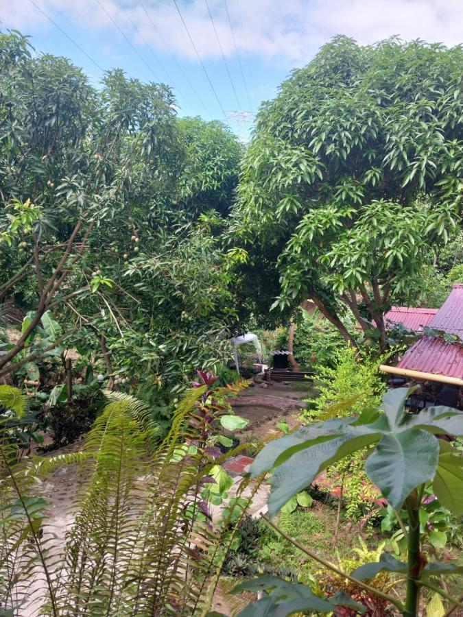 Mi Refugio Tayrona Hotel Santa Marta  Eksteriør billede