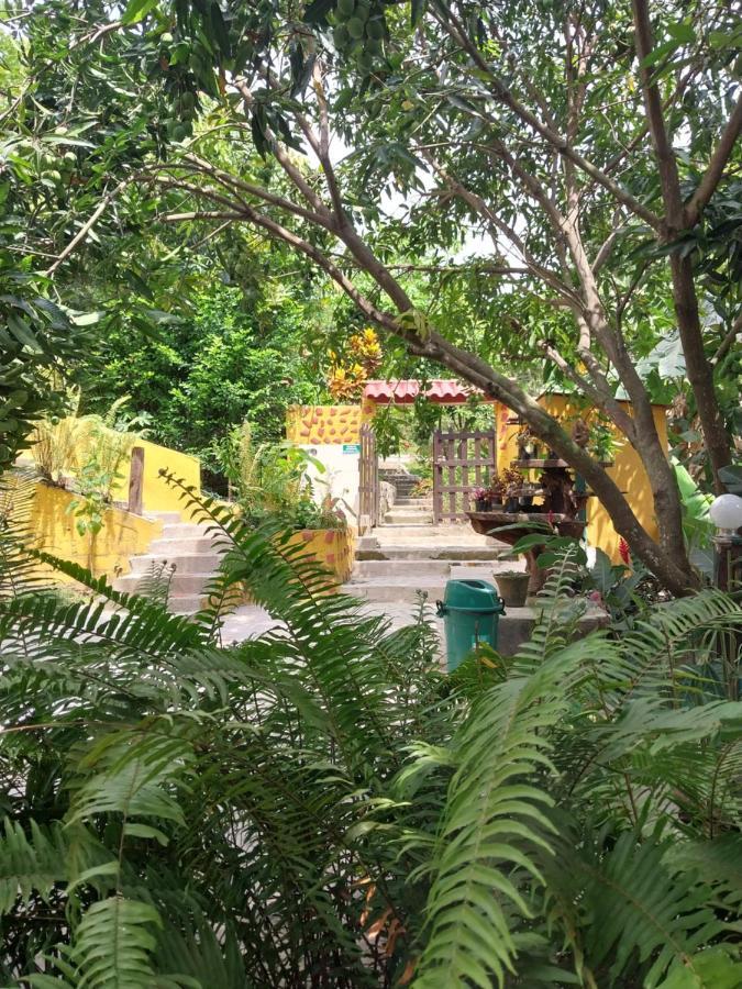 Mi Refugio Tayrona Hotel Santa Marta  Eksteriør billede